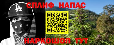 индика Пугачёв