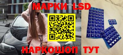 индика Пугачёв