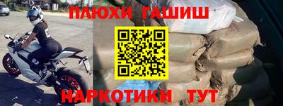 индика Пугачёв