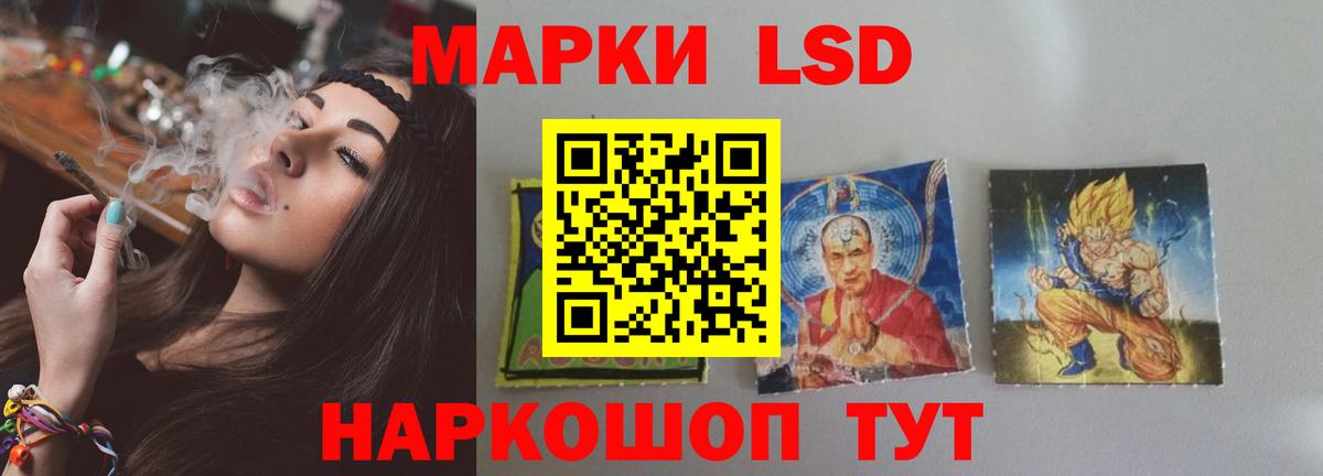 Альфа ПВП Пушкино